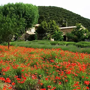 Bed & Breakfast Le Mas De La Fontaine ***